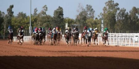 الطائف تتأهب لمواجهات الكؤوس في ثاني أسابيع موسم سباقات الخيل