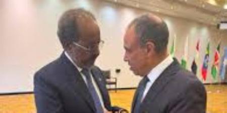 خلال لقائه الرئيس الصومالي.. وزير الخارجية يؤكد دعم مصر الكامل لسيادة الصومال