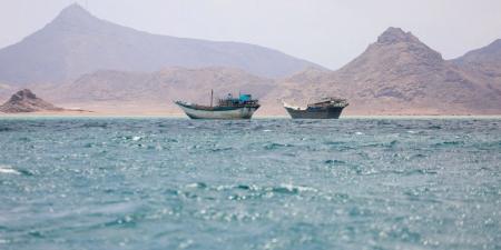 باب المندب يشهد عبور 25 سفينة محملة بسلع أولية والحركة بهرمز تظل ضعيفة
