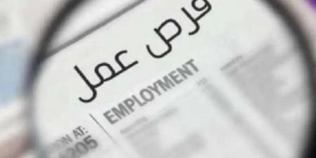 1275 فرصة عمل جديدة في 42 شركة خاصة بـ 9 محافظات.. التخصصات وطريقة التقديم