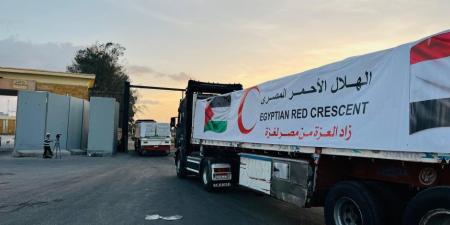برلماني: موافقة الفصائل على خارطة طريق غزة تؤكد نجاح الوساطة المصرية.. والقاهرة تتحرك بثوابت راسخة لحماية القضية الفلسطينية