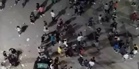 تحطيم سيارات والترويع بـ«كلب».. الأمن يضبط طرفي «مشاجرة بنها»