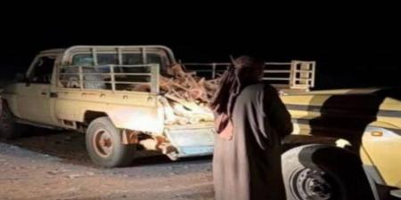 ضبط مخالف لقطعه الأشجار دون ترخيص في محمية الأمير محمد بن سلمان الملكية