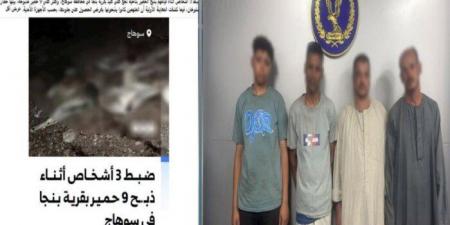 كشف ملابسات ذبح «الحمير» بجوار مصرف مائي بسوهاج
