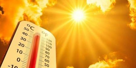 بلجيكا ترفع مستوى التحذير إلى البرتقالي مع موجة حر تصل إلى 37 درجة