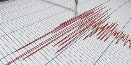 رسمياً.. «البحوث الفلكية» يعلن تسجيل زلزال بالقرب من السويس دون أضرار