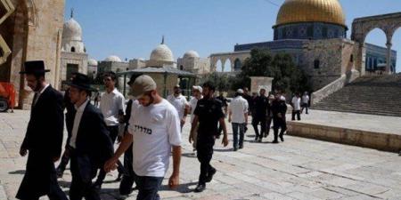 الأوقاف الفلسطينية: 27 اقتحاما للمسجد الأقصى ومنع الأذان 155 مرة بالحرم الإبراهيمي الشهر الماضي