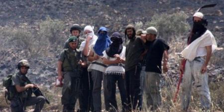 مستوطنون يصعدون اعتداءاتهم على الفلسطينيين بالضفة الغربية