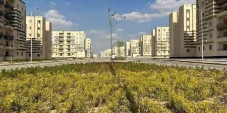 15 ألف وحدة سكنية جديدة للإيجار.. الإسكان تكشف موعد التقديم وقيمة الإيجار
