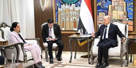 الرئيس العليمي: اليمن دخل مرحلة جديدة ولا نطلب من شركائنا خوض معركة استعادة الدولة نيابة عنا