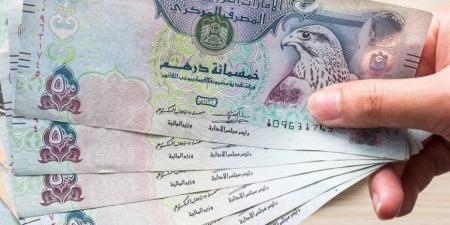 تراجع سعر الدرهم الإماراتي مقابل الجنيه اليوم الثلاثاء 4 أغسطس 2026