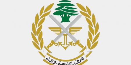الجيش اللبناني: عملية دهم في عرسال وضبط كمية كبيرة من الذخائر الحربية