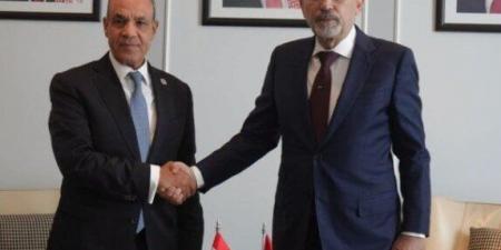 وزيرا خارجية مصر والأردن يؤكدان أهمية تنفيذ خطة الرئيس الأمريكي للسلام في غزة