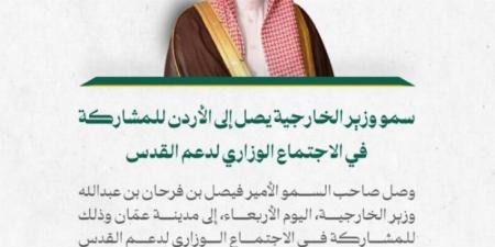 وزير الخارجية يصل إلى الأردن للمشاركة في الاجتماع الوزاري لدعم القدس