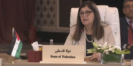 شاهين: يجب أن تبقى القدس في صدارة الاعتبارات بكل أشكال التعامل مع إسرائيل