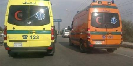 محاكمة سائق ميكروباص تسبب في حادث دهس مروع بمنطقة ألف مسكن