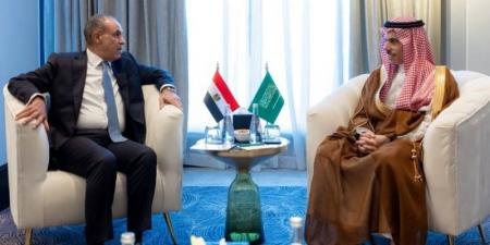 وزير الخارجية يلتقي نظيره المصري ويبحثان مستجدات الأوضاع في المنطقة