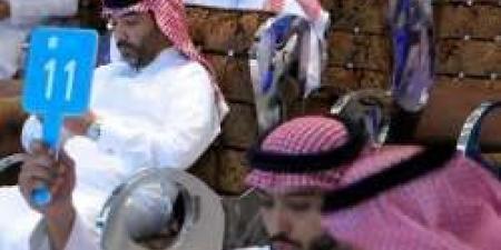 بالفيديو ..قطعة أرض بالقرب من المسجد النبوي تباع بـ 462 مليون ريال