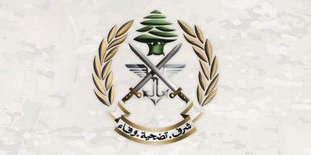 الجيش ينفذ عمليات دهم بحثًا عن متورطين في إشكال تخلله إطلاق نار، ويضبط أسلحة وذخائر حربية ويتلف 16 خيمة مزروعة بالماريجوانا