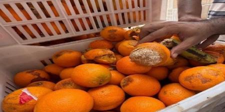 ضبط 7 أطنان دقيق و5 من البرتقال الفاسد في حملة تموينية بالشرقية