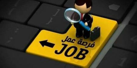 56 شركة و3032 وظيفة.. خريطة فرص العمل المتاحة للشباب خلال أغسطس
