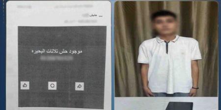 الداخلية تضبط طالب بتهمة الترويج للمواد المخدرة على «فيسبوك»