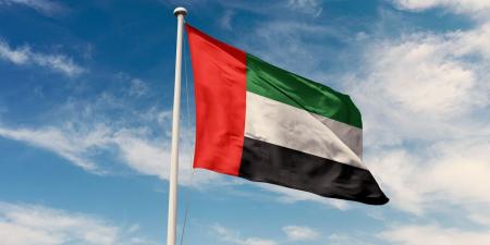 الإمارات تُدين التفجير الإرهابي الذي وقع في جرمانا السورية