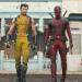 17:36
مشاهير عالمية

فيلم "Deadpool & Wolverine" يواصل تحقيق النجاح العالمي بهذه الارقام الجديدة