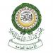الأمانة العامة لمجلس وزراء الداخلية العرب تدين العملية الإرهابية لمليشيا الحوثي تجاه المنطقة الجنوبية في المملكة