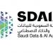 تقرير دولي: المملكة نموذج رائد في بناء اقتصاد ذكي قائم على البيانات والذكاء الاصطناعي