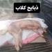 الحوثيون يتسترون على عصابات متورطة ببيع الدجاج الميت ولحم الكلاب و الحمير للمطاعم