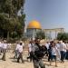 خارجية فلسطين تدين اقتحام آلاف المستعمرين للمسجد الأقصى