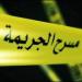 «مقطعة أشلاء والرأس بالفريزر».. تفاصيل العثور على جثمان سيدة مقطعًا داخل شقة بالإسكندرية