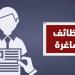 وظائف وزارة العمل 2026.. فرص جديدة برواتب تصل إلى 20 ألف جنيه