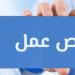 2024 فرصة عمل جديدة في 55 شركة خاصة بـ 12 محافظة.. التخصصات وطريقة التقديم