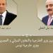 وزيرا الخارجية المصرى والتونسي يبحثان العلاقات الثنائية والتطورات الاقليمية