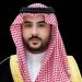وزير الدفاع يبحث مع تركيا وجنوب إفريقيا تعزيز التعاون العسكري