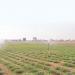 هيئة أبوظبي للإسكان تطلق خدمة قرض بناء مسكن على أرض مقسَّمة من أرض زراعية