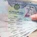تراجع سعر الدرهم الإماراتي مقابل الجنيه اليوم الثلاثاء 4 أغسطس 2026