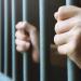 حبس المتهم بقتل والده وطعن والدته وشقيقه بالإسكندرية 4 أيام على ذمة التحقيقات