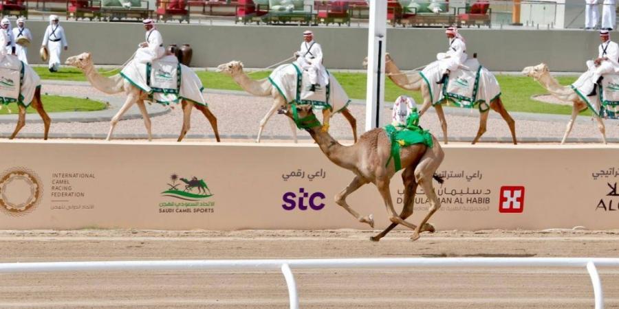 توِّجت بكأس ولي العهد.. «العلا» تبهج السعوديين