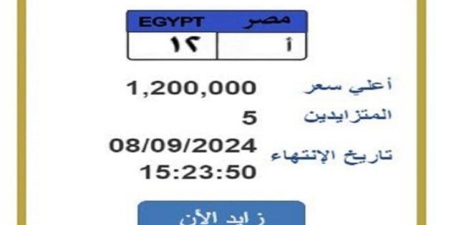 «أ 12».. لوحة سيارة وصل سعرها لمليون و200 ألف جنيه في مزاد علني