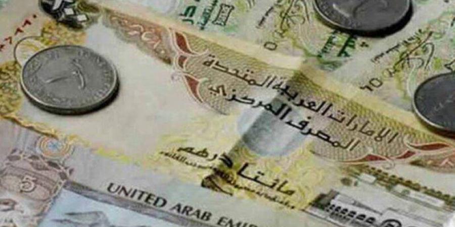 سعر الدرهم الإماراتي مقابل الجنيه المصري اليوم الاثنين 9 سبتمبر 2024