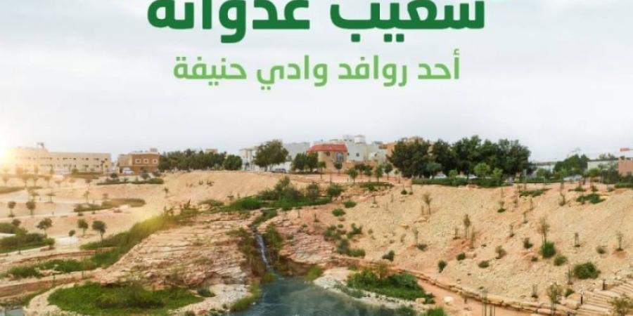 برنامج الرياض الخضراء يعلن افتتاح تطوير شعيب غذوانة أحد روافد وادي حنيفة بعد تأهيله وتشجيره