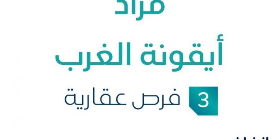 3 فرص عقارية .. مزاد عقاري جديد من شركة خبير للمزادات في منطقة الرياض