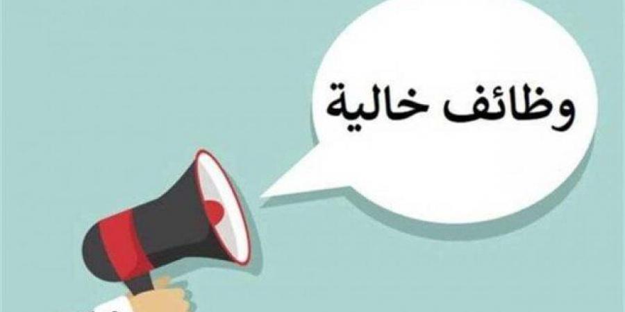 وظائف محطة الضبعة.. الشروط والتخصصات وكيفية التقديم (مرتبات تصل لـ25 ألف جنيه)