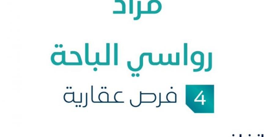 4 فرص عقارية .. مزاد عقاري جديد من وكالة شرق أبها للمزادات في الباحة