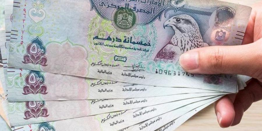 سعر الدرهم الإماراتي مقابل الجنيه المصري اليوم الأربعاء 25 سبتمبر 2024