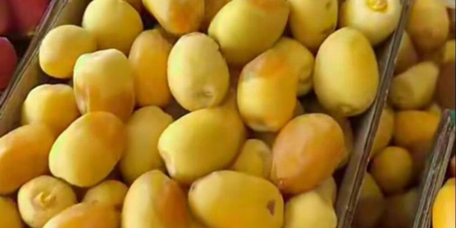خيرات الصيف تنعش أسواق الأحساء.. وهبوط أسعار الرطب