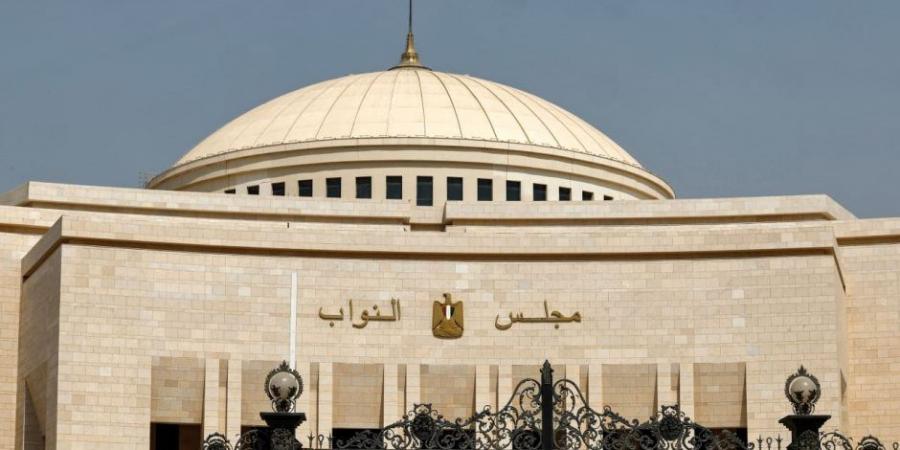 ضياء الدين داود: أوافق على قانون مستقبل مصر بعد تعديله